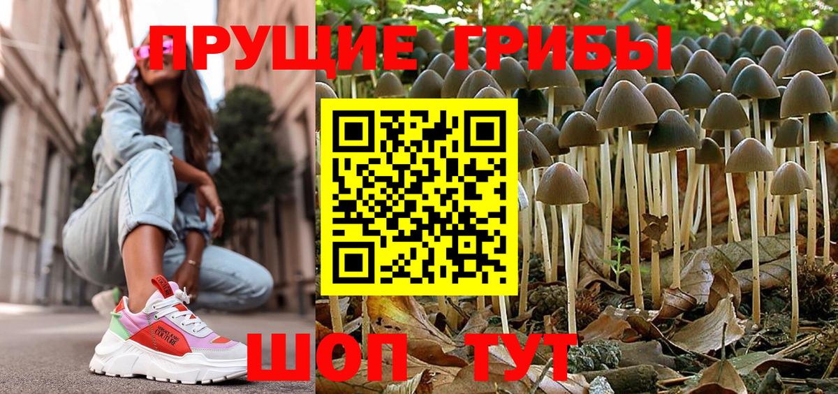 Верхняя Салда  где купить наркотик  Вход с VPN  Галлюциногенные грибы Psilocybe 